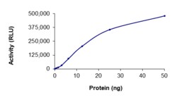 Sino Biological&nbsp;Recombinant Human c-MET/HGFR Protein (D1228Y, GST Tag), Active